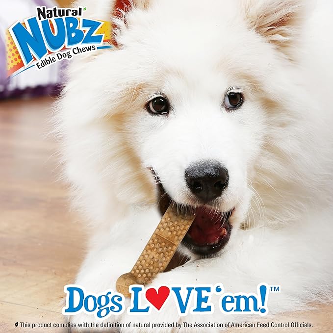 Nylabone Nubz Natural Edible Chew Treats for Dogs, Made in USA, Chicken Flavor, Small - Up to 25 lbs. (36 Count)