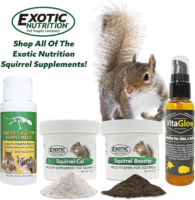 Squirrel Booster (2 oz.) - Complete Multivitamin - Powdered Vitamin & Mineral Supplement for Pet Squirrels