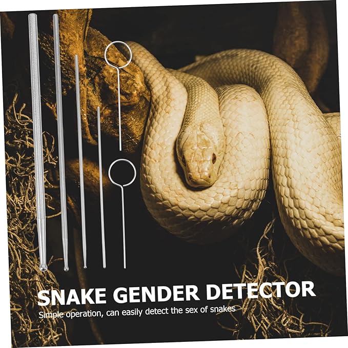 12 Pcs Snake Probe Snake Gender Detector Portable Reptiles Probe Snake Sexing Snake Probe Metal Gender Probe Reptile Supplies Stainless Steel Probe Snake Sexing Probe