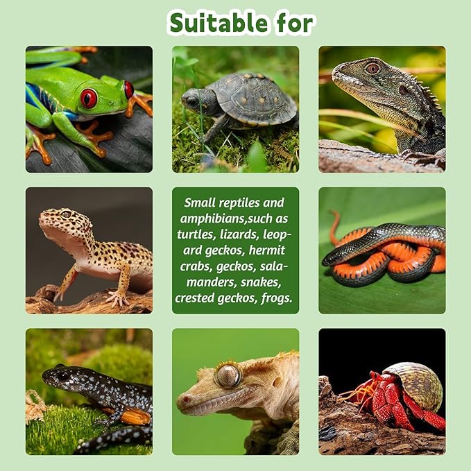 PINVNBY Resin Reptile Platform, Reptile Water Dish, Artificial Plants and Moss Reptile Food Water Bowl for Bearded Dragon, Lizard, Gecko, Turtle, Water Frog, Snake (with Moss)