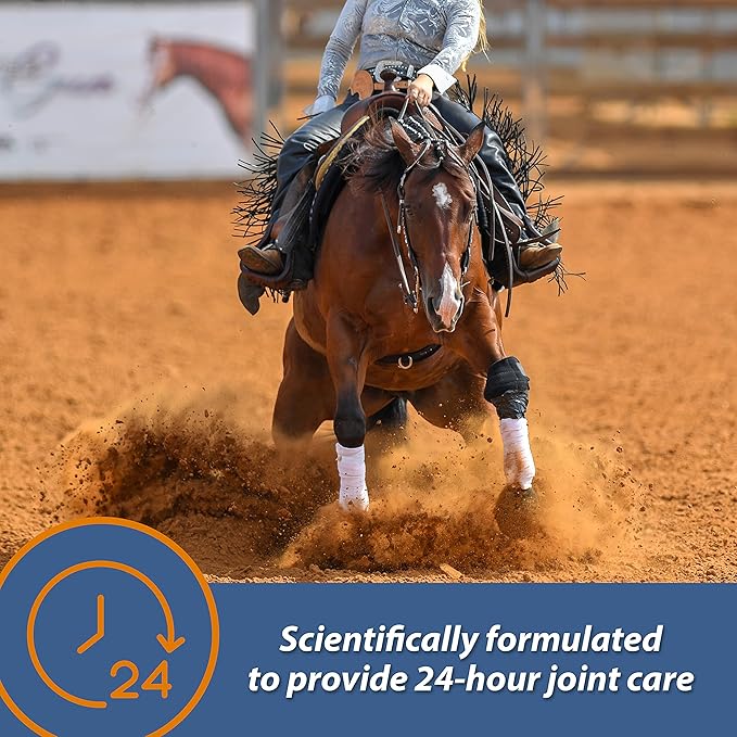 Farnam MaxFlex XR Extended Release Joint Supplement for Horses, Provides a continuous supply of joint health ingredients for 24 hours, 0.9375 pound, 30 Day Supply