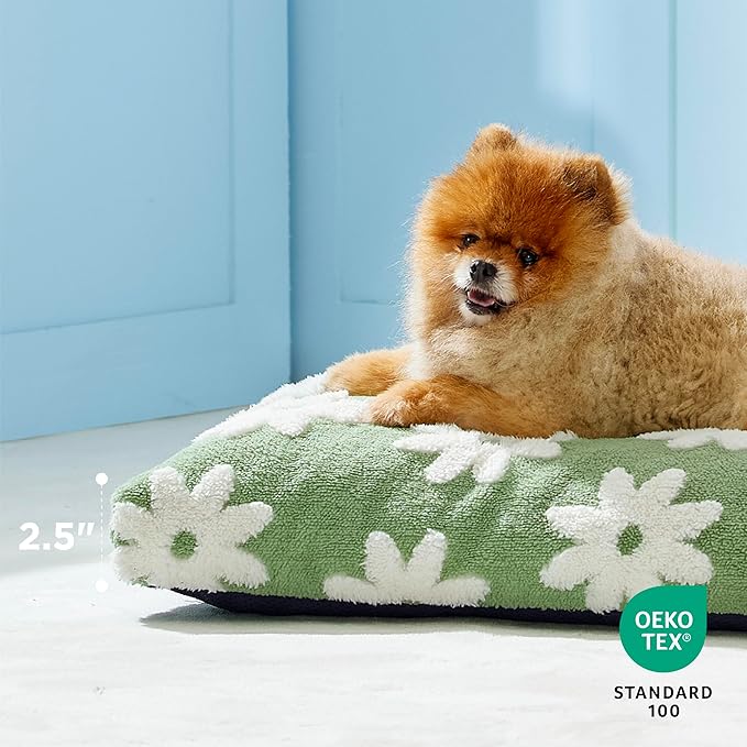 Lesure Small Dog Beds-Thick Shredded Chopped Foam Pet Bed, Dog Bed Indoor with Removable Cover, Cute Modern Fuzzy Plush & Anti Slip Bottom(24'x16', Green)