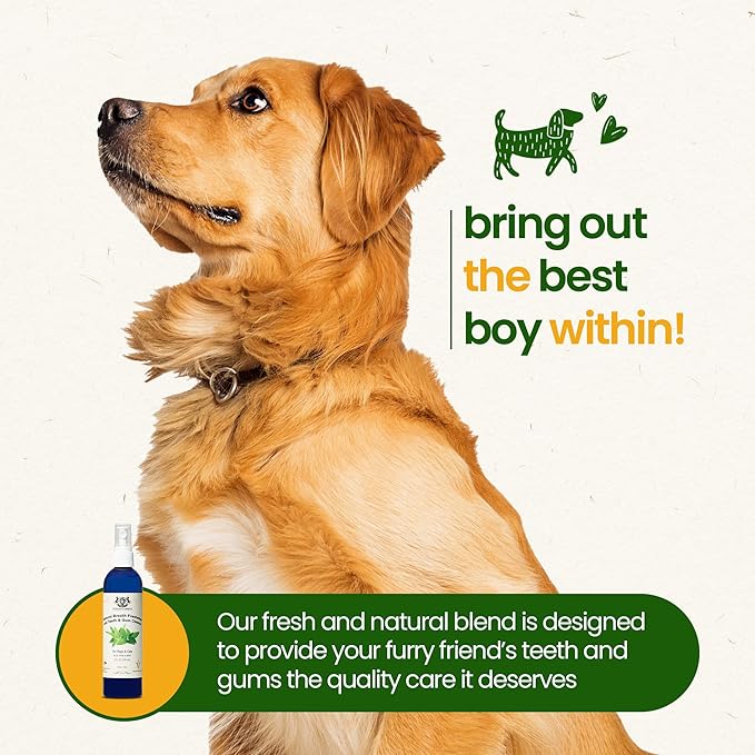 Gerrard Larriett: Natural Dog and Cat Breath Freshener - Dog Mouthwash with Mint, Aloe Vera, & Baking Soda - Gentle Cat & Dog Breath Spray for Plaque, Tartar Control for Full Pet/Dog Oral Care, 8 oz