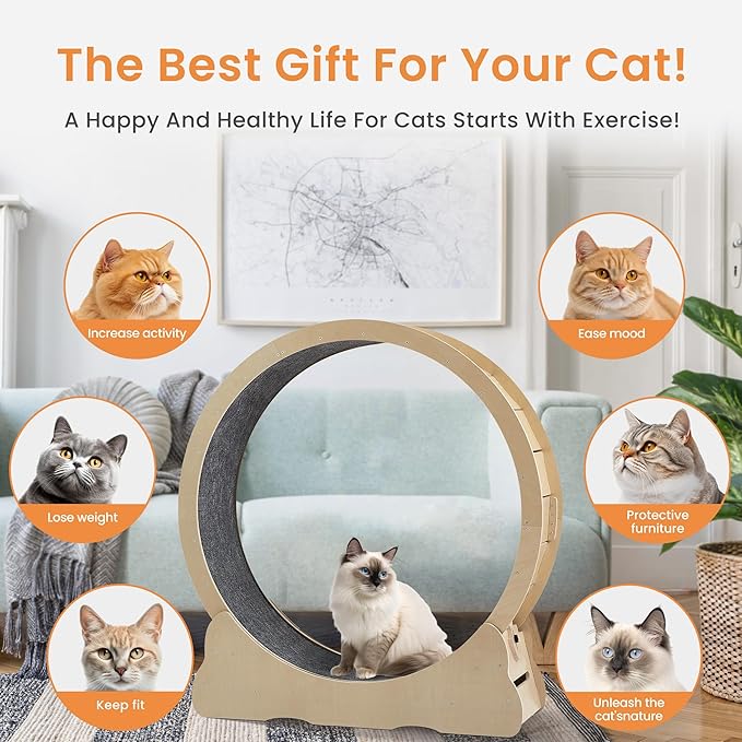 Cat Exercise Wheel,35.8 Inch Cat Wheels for Indoor Cats with Carpeted Runway,Cat Treadmill Running Wheel with Latch,Cat Running Wheel for Cats Daily Exercise and Weight Loss,Natural M