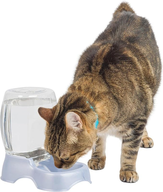 Petmate Pet Cafe Waterer Cat and Dog Water Dispenser, pearl silver gray, 0.25 GAL (24436), Made in USA