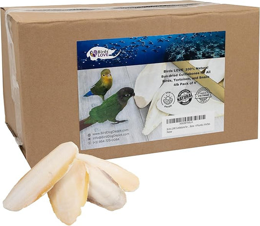 Birds LOVE Natural Cuttlebone – Premium Calcium for Cockatiel, Parrots, Tortoise, Snails, Crabs and Chinchillas - Pure Cuttlebone for Birds - Parakeet Food and Bird Treats - 4lb, Size 3.5 to 4"