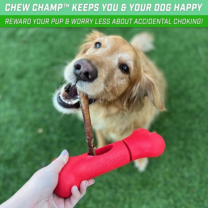 GoSports Chew Champ Bully Stick Holder for Dogs - Securely Holds Bully Sticks to Help Prevent Choking - 6 in or 8 in Size, 1 Count (Pack of 1)