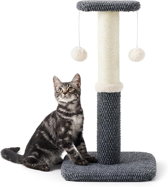 Lesure Cat Scratching Post for Indoor Cats - Highly Resistant Carpet Scratch Posts, Premium Sisal Rope Scratch Posts for Kittens, Sturdy Small Cat Scratch Pole with Hanging Ball, Grey(22.5 inch)