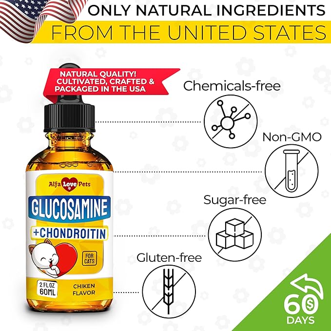 Glucosamine for Cats ✿ Cat Joint Supplement ✿ Cat Glucosamine ✿ Joint Supplement for Cats ✿ Glucosamine for Cats Liquid ✿ Glucosamine Chondroitin for Cats ✿ Chicken Flavor ✿ 2 Oz