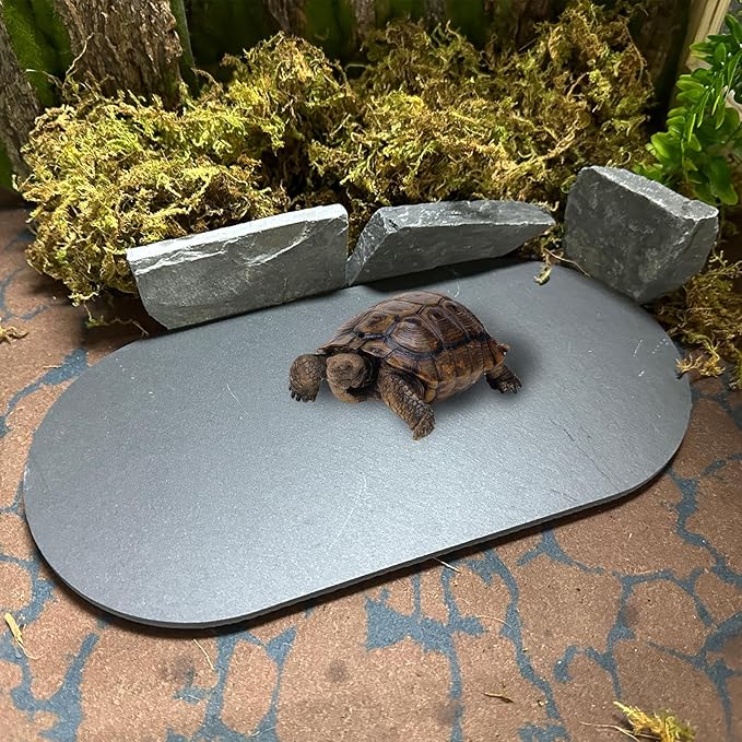 Reptile Basking Platform 11.2''x5.7'' Turtle Rock Slate Food Bowl Feeding Dish Plate Tortoise Resting Bathing Platform for Gecko Bearded Dragon Lizard Chameleon Snake Frog