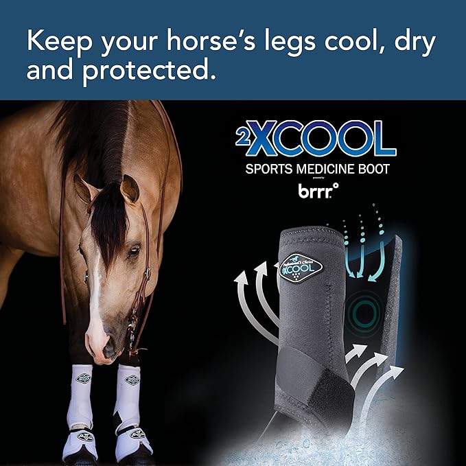 Professional's Choice 2XCOOL Sports Medicine Horse Boots | Protective & Breathable Design for Ultimate Comfort & Durability in Active Horses | Value 4 Pack | Small, Medium, Large