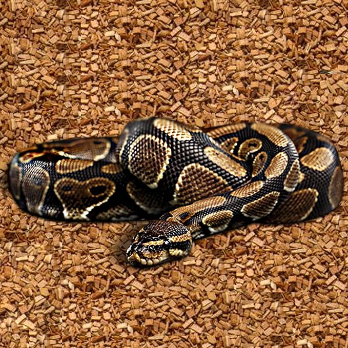 Organic Coconut Chips Substrate Clean & Ready to Use for Reptiles, Snake, Tortoise, and Amphibian, Natural Fiber Free Husks, Clean Breeding and Bedding Flooring, Odor Absorbing – 10.6 Quarts