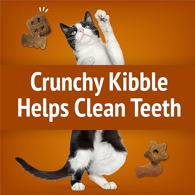 Purina Friskies Made in USA Facilities Cat Treats, Party Mix Chicken Lovers Crunch - 20 oz. Pouch