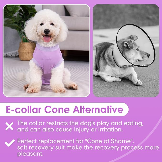 cyeollo Dog Surgery Recovery Suit Soft Breathable Female Male Pet Bodysuit for Spay, Neuter, Surgical Recovery Shirt for Small Medium Large Dogs, Purple, M