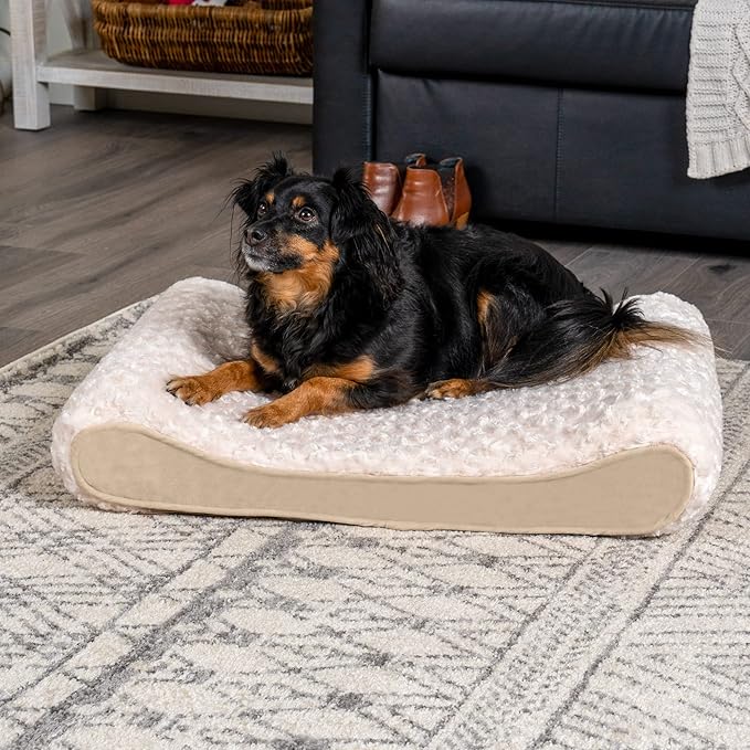 Furhaven Orthopedic Dog Bed for Medium/Small Dogs w/ Removable Washable Cover, For Dogs Up to 23 lbs - Ultra Plush Faux Fur & Suede Luxe Lounger Contour Mattress - Cream, Medium