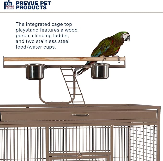 Prevue Pet Products Wrought Iron Select Bird Cage 3154COCO, Coco Brown, 36-Inch by 24-Inch by 66-Inch