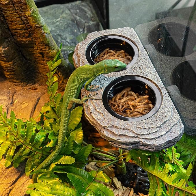 Magnetic Gecko Ledge, Resin Reptile Feeder Ledge with 4 Feeding Cups, Wall Mounted Reptile Food Dish and Water Dish 2 in 1
