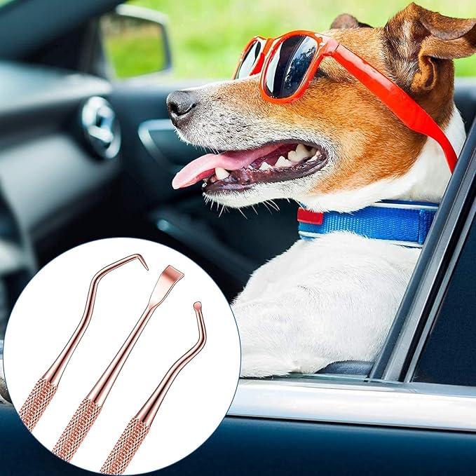 3 Pieces Dog Dental Tooth Scaler and Scraper Stainless Double Headed Tarter Removing Tool Scraper Pet Teeth Cleaning Tools for Dog and Cat (Rose Gold)