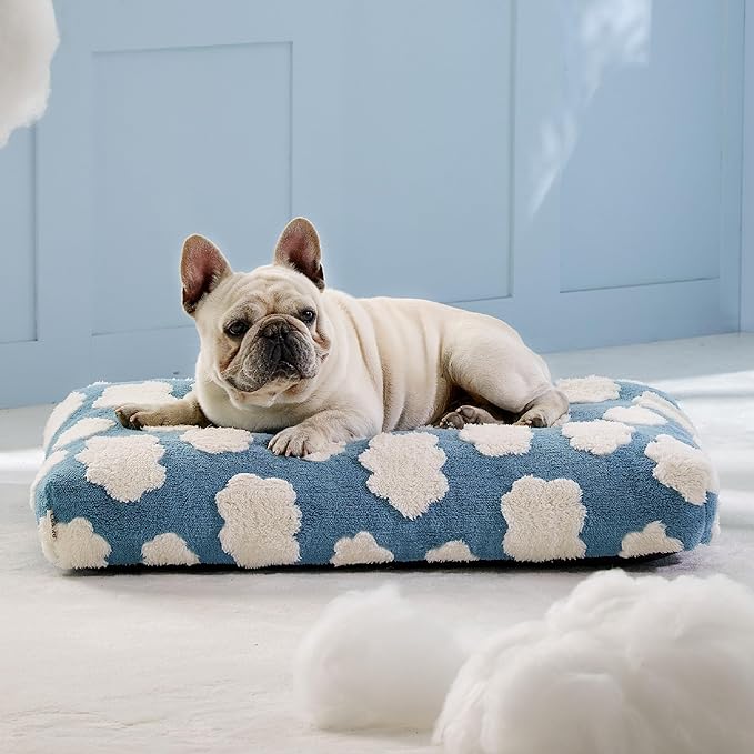 Lesure Dog Bed Medium Size Dog-Thick Shredded Chopped Foam Pet Bed, Dog Bed Indoor with Removable Cover, Cute Modern Fuzzy Plush & Anti Slip Bottom(30'x20', Blue)