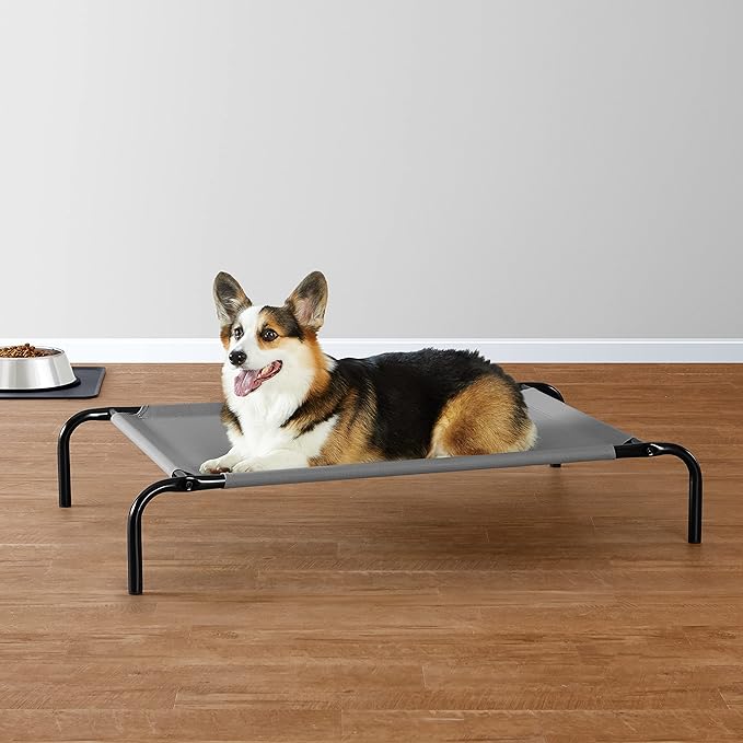 Amazon Basics Cooling Elevated Dog Bed with Metal Frame, Medium, 43 x 26 x 7.5 Inch, Grey