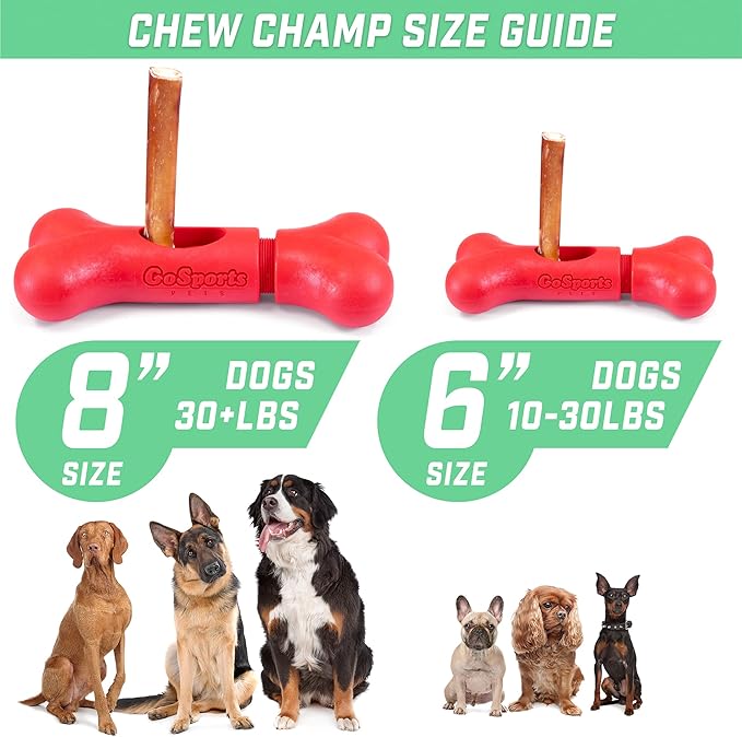 GoSports Chew Champ Bully Stick Holder for Dogs - Securely Holds Bully Sticks to Help Prevent Choking - 6 in or 8 in Size, 1 Count (Pack of 1)