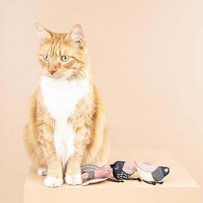 Fringe Studio "Under My Wings Cat Toy Mini Set of 3, PetShop Collection (904029)