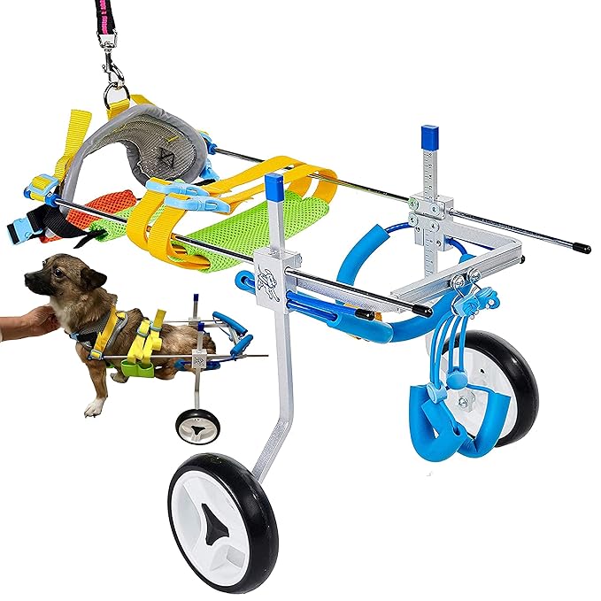 Adjustable Dog Cart/Wheelchair, Animal Exercise Wheels?for Pet/Doggie Wheelchairs with Disabled Hind Legs Walking?Light Weight, Easy Assemble (7-Size)(XSLW)