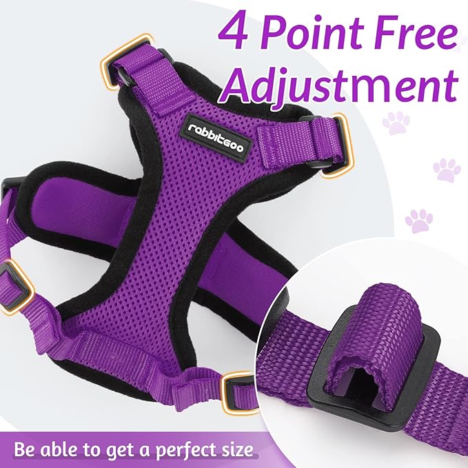 rabbitgoo Cat Harness and Leash for Walking, Escape Proof Soft Adjustable Vest Harnesses for Cats, Easy Control Breathable Reflective Strips Jacket, Purple, XXS