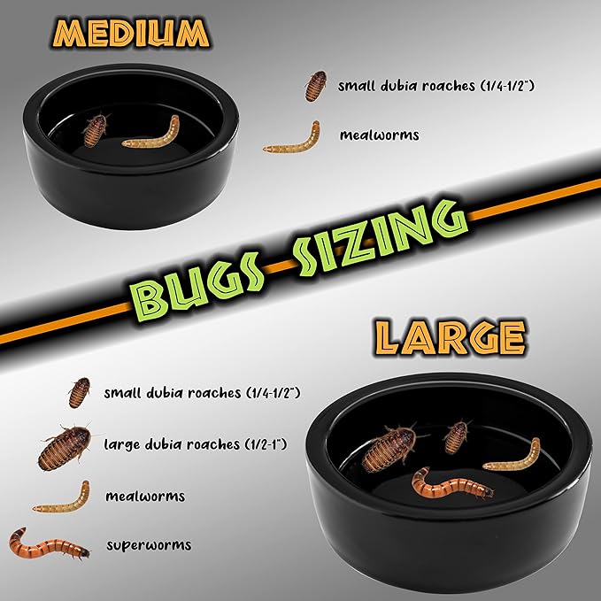 Reptile Food Dish Bowl - Anti-Escape Ceramic Worm Water Dish Feeder for Mealworm, Superworm, Dubia Roaches, Lizard, Leopard Gecko, Bearded Dragon, Chameleon, Skink, Tegu, Snake (Medium, Black)