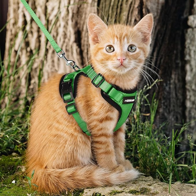 rabbitgoo Cat Harness and Leash for Walking, Escape Proof Soft Adjustable Vest Harnesses for Cats, Easy Control Breathable Reflective Strips Jacket, Grass Green, XXS