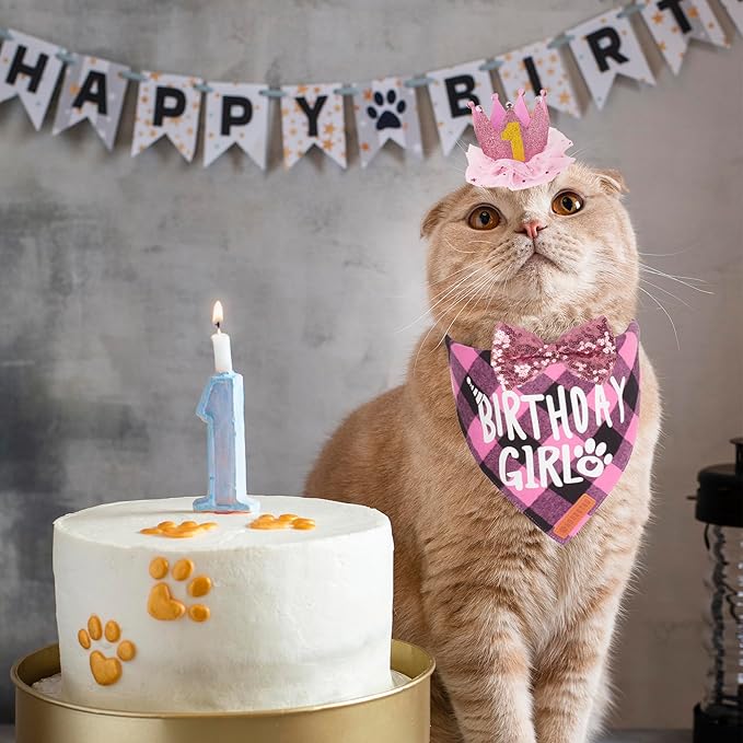 ADOGGYGO Cat Birthday Party Supplies, Birthday Girl Plaid Cat Bandana Cute Cat Bowtie, Cat Birthday Hat with Numbers, Pet Birthday Outfit for Cat Kitten (Pink)