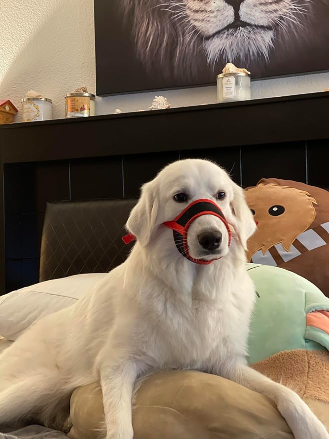 HEELE Dog Muzzle,Soft Nylon Muzzle Anti Biting Barking Chewing,Air Mesh Breathable Drinkable Adjustable Loop Pets Muzzle for Small Medium Large Dogs 4 Colors 4 Sizes (XXL, Red)