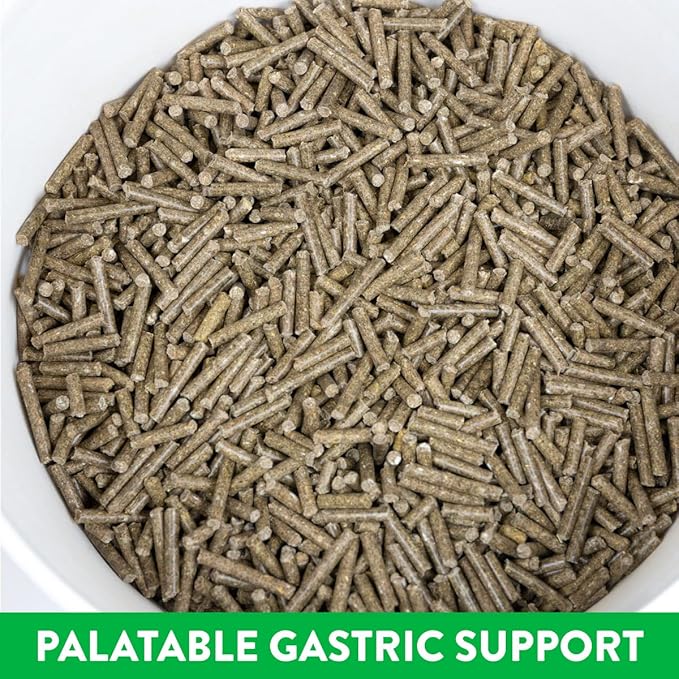 Pellet, Gastric Support Supplement for Horses | Palatable Alfalfa Pellet with Calcium, Magnesium, and 50+ Trace Minerals | 30 Day Supply