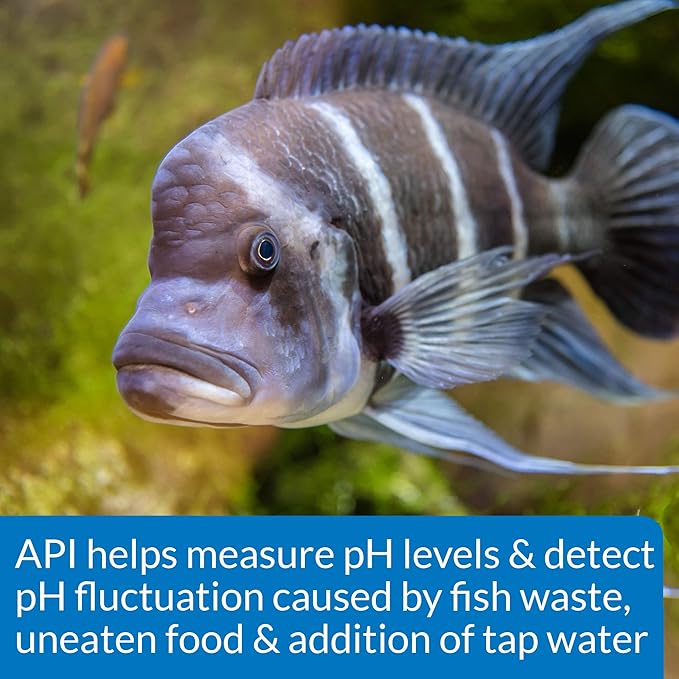 API HIGH RANGE PH TEST KIT 160-Test Freshwater and Saltwater Aquarium Water Test Kit