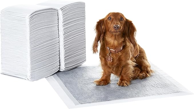 Amazon Basics Carbon Odour-Control Dog and Puppy Training Pads, Leakproof with Quick-Dry Surface, Regular, Pack of 120, Gray