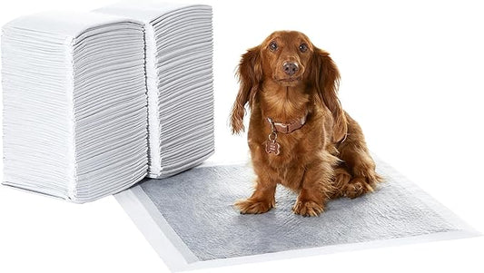 Amazon Basics Carbon Odour-Control Dog and Puppy Training Pads, Leakproof with Quick-Dry Surface, Regular, Pack of 120, Gray