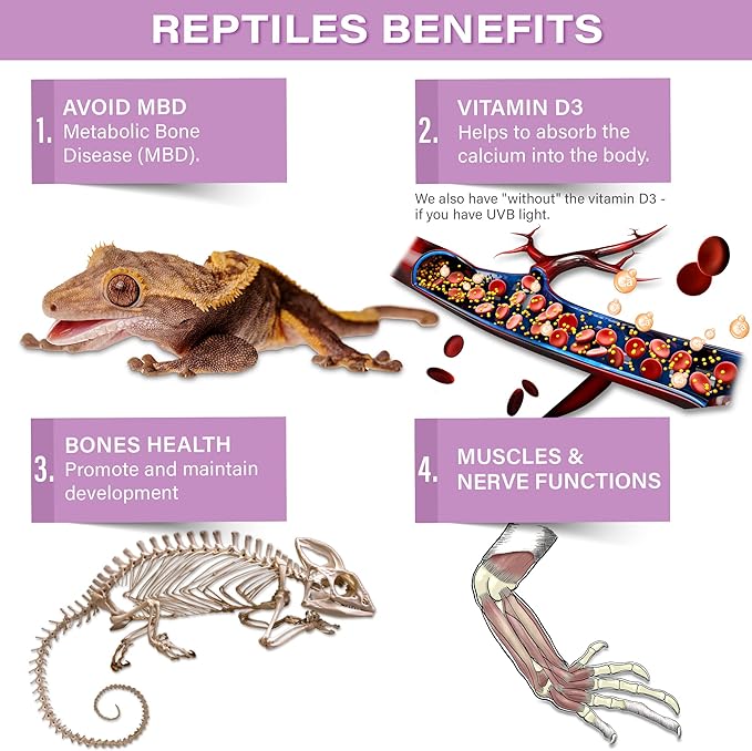 4oz Gecko Calcium without Vitamin D3, Phosphorus-free, Ultrafine Powder. Ready to Use Supplement for Geckos & Fruit-Eating Reptiles. Flavored with Real Organic Tropical Fruits. Made in the USA