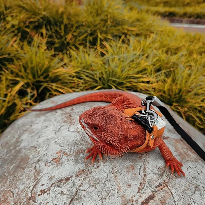 3 Pack Bearded Dragon Harness and Leash Set - Adjustable Soft Leather Lizard Harness with Retractable Leash Small Animal Traction Rope Walking Vest Accessories for Reptile Squirrel Rat (3 Pack)