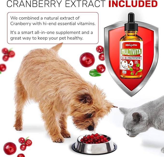 Dog Vitamins and Supplements ✿ Cat Multivitamin ✿ Cat and Dog Supplements & Vitamins ✿ Multivitamins for Dogs ✿ Hip & Joint Pet Vitamins ✿ Vitamin C for Dogs ✿ Vitamin B12 for Cats ✿ Made in USA ✿ 2Oz