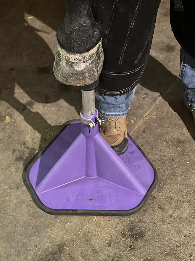 Blacksmith Standard Hoof Stand Purple
