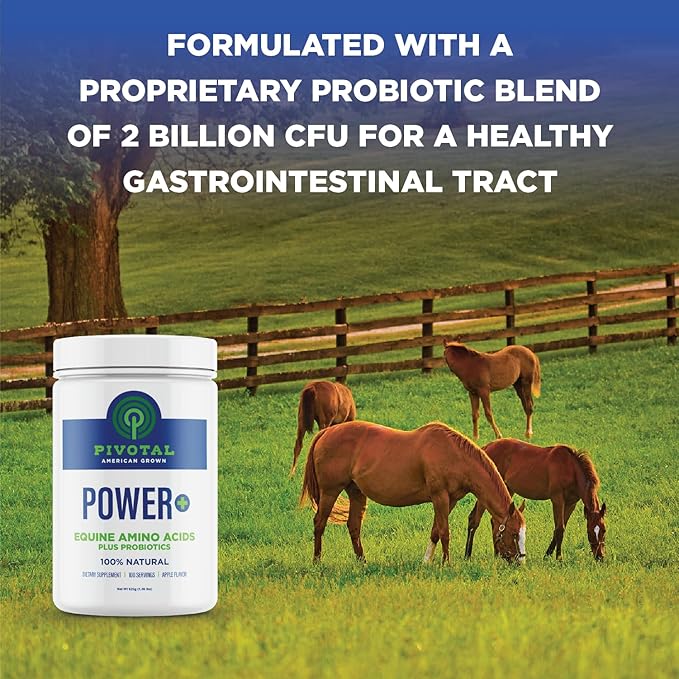 Power+ Horse Supplement (620g/1.36lbs - 100 Servings) - 9 Equine Amino Acids Plus Probiotics for Horses - No Added Sugar, No Soy, No Fillers - Horse Joint Support Supplement