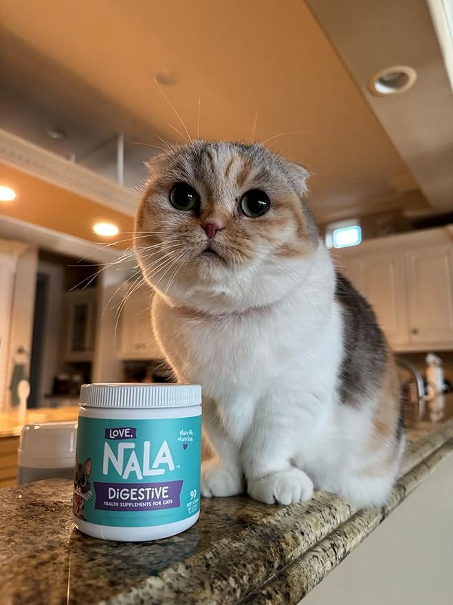 LOVE, NALA - Digestive Health Supplement for Cats - 90 Soft Chews - Digestive Enzymes - Helps Support Digestive System, Diet Changes, & Food Transitioning - 3.2 oz