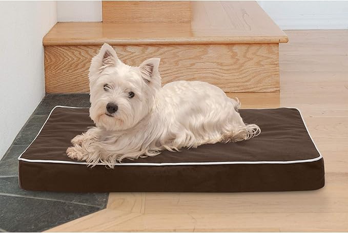 Furhaven Water-Resistant Memory Foam Dog Bed for Medium/Small Dogs w/ Removable Washable Cover, For Dogs Up to 35 lbs - Indoor/Outdoor Solid Polycanvas Mattress - Espresso, Medium