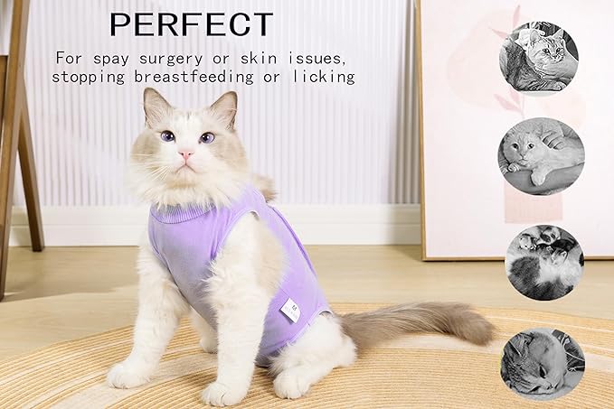 Cat Surgery Recovery Suit Female Kitten Cat Onesie for Cats After Surgery Spay Surgical Abdominal Wound Skin Diseases Cone Collar Soft Alternative Wear (Purple, S)