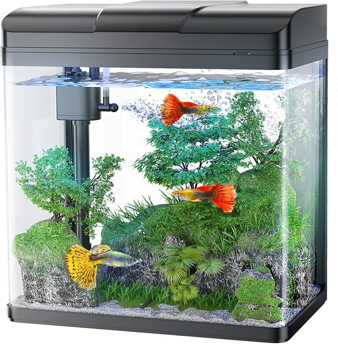 Fish Tank, 1.7 Gallon Glass Aquarium with Air Pump & LED Light & Filter, Small Fish Tank for Betta Fish Starter Kit (Black)