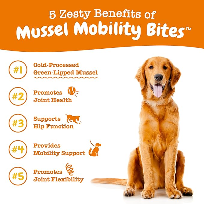 Zesty Paws Mussel Mobility Bites for Dogs - New Zealand Green Lipped Mussel with Natural Glucosamine & Chondroitin + Omega-3 Fatty Acids - Hip & Joint Support Supplement Soft Chews – 90 Count