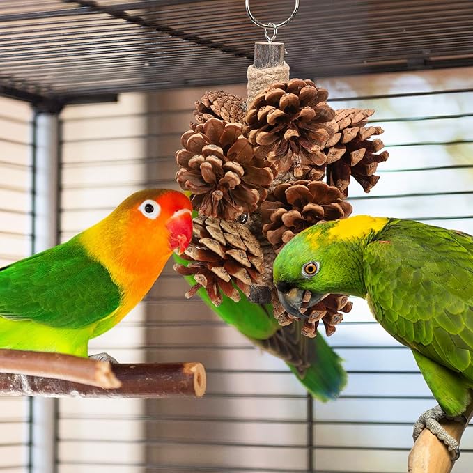 Bird Toys Parrot Toys - Bird Chewing Toy with Natural Pine Cones for Small and Medium-Sized Parakeets Cockatiels Conures Lovebirds Cockatoos African Grey Amazon Parrots