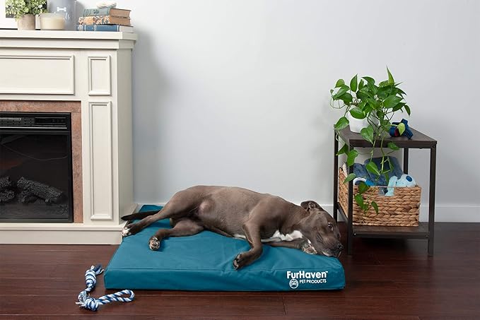 Furhaven Water-Resistant Memory Foam Dog Bed for Large/Medium Dogs w/ Removable Washable Cover, For Dogs Up to 55 lbs - Indoor/Outdoor Logo Print Oxford Polycanvas Mattress - Deep Lagoon, Large