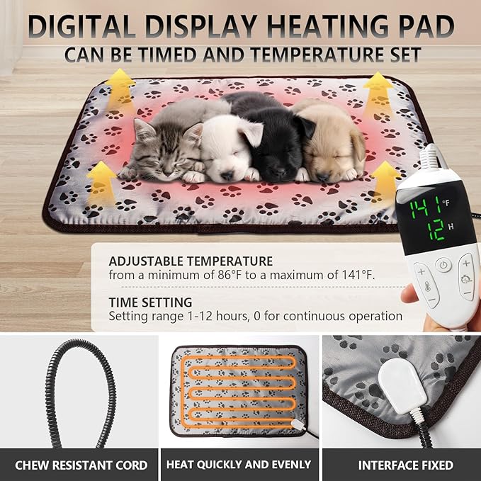 Puppy Incubator - Incubator for Puppies with Heating and Fan Features, Kitten Incubator,Puppy Incubator for Dogs, Incubator for Newborn Puppies and Kittens