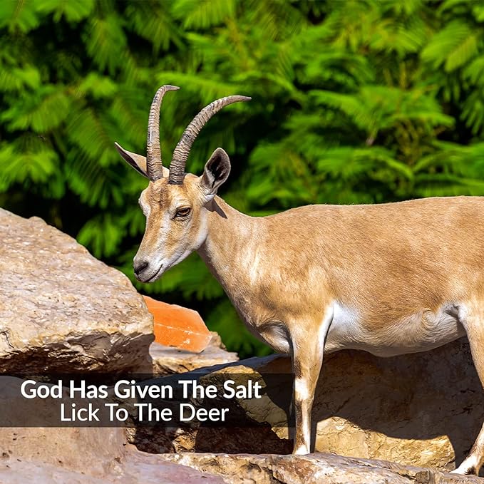 Licking Salt for Deer - 2 Pack